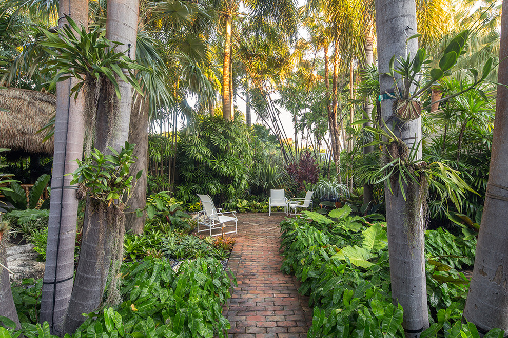 Bild på en mellanstor tropisk trädgård längs med huset, med marksten i tegel
