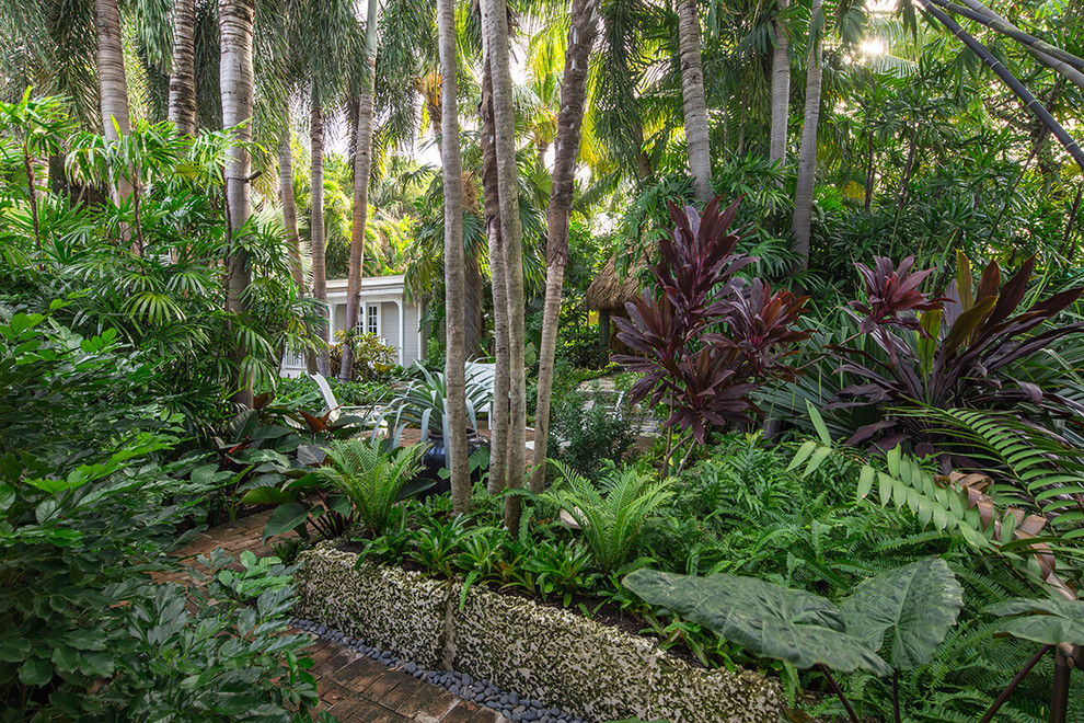 Idee per un giardino tropicale di medie dimensioni e nel cortile laterale