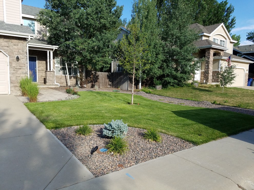 Geometrischer, Großer Klassischer Garten im Sommer mit direkter Sonneneinstrahlung und Betonboden in Denver