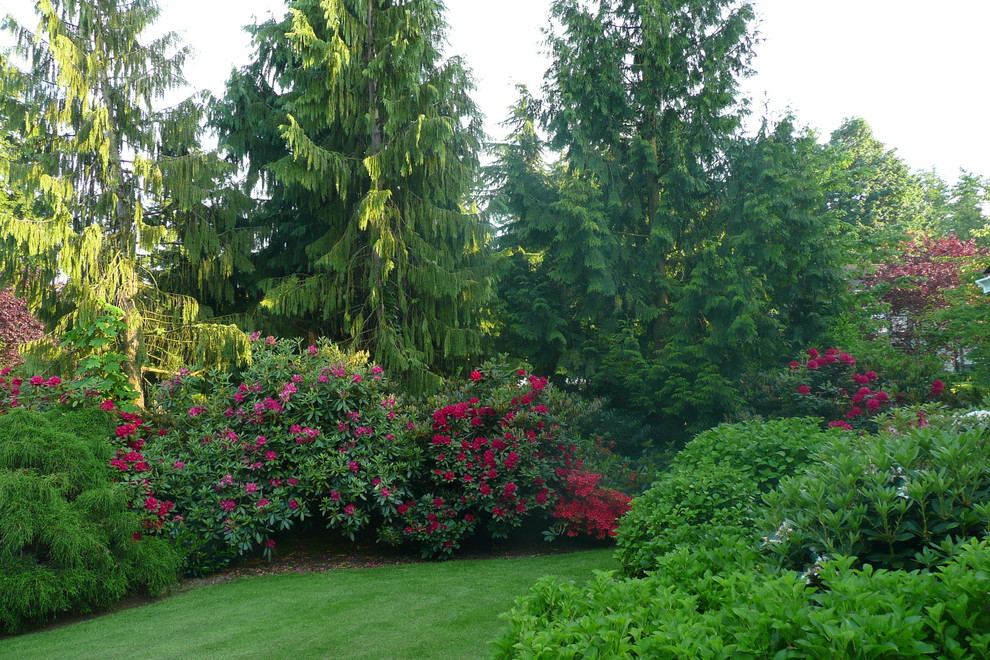 Traditional back fully shaded garden in Vancouver.