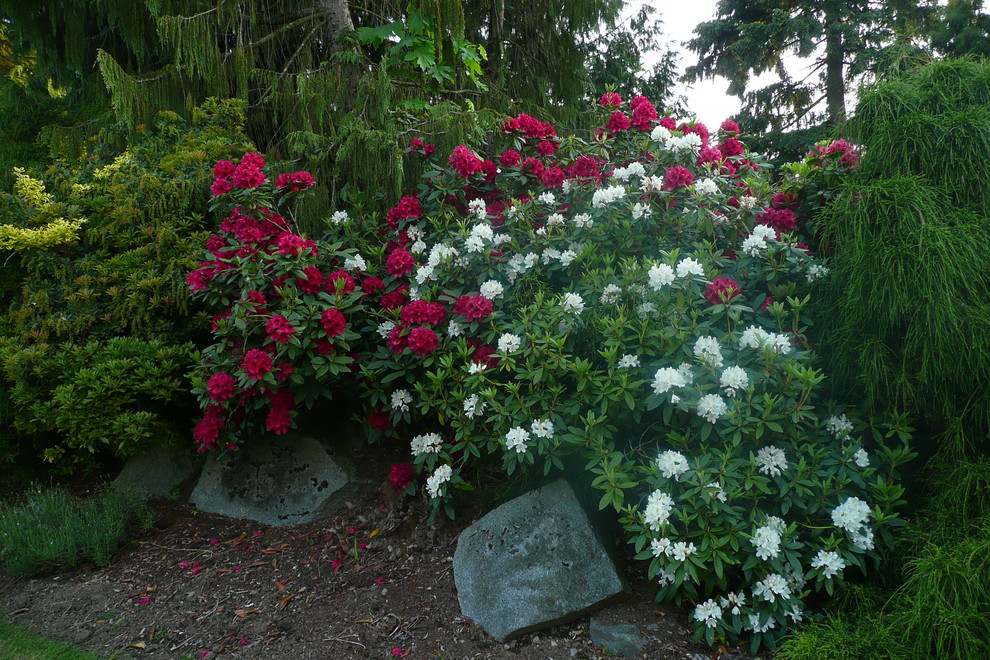 Klassischer Garten in Vancouver