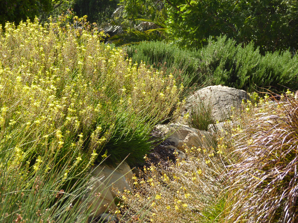 サンタバーバラにある低価格の小さな、春の地中海スタイルのおしゃれな裏庭 (ゼリスケープ、日向、砂利舗装) の写真