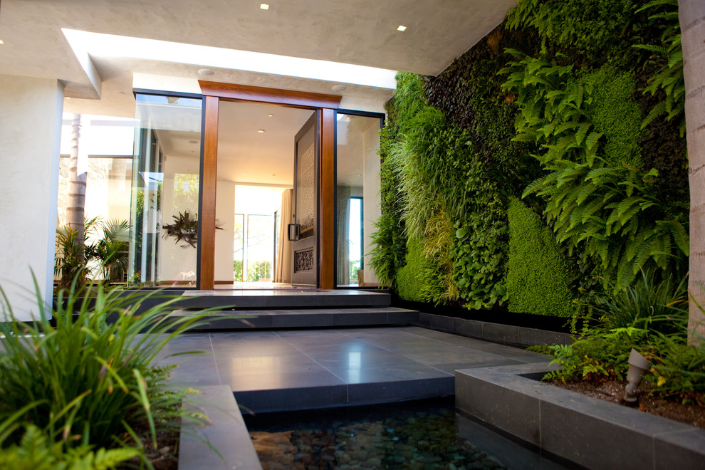 Photo of a mid-sized tropical front yard landscaping in Los Angeles.
