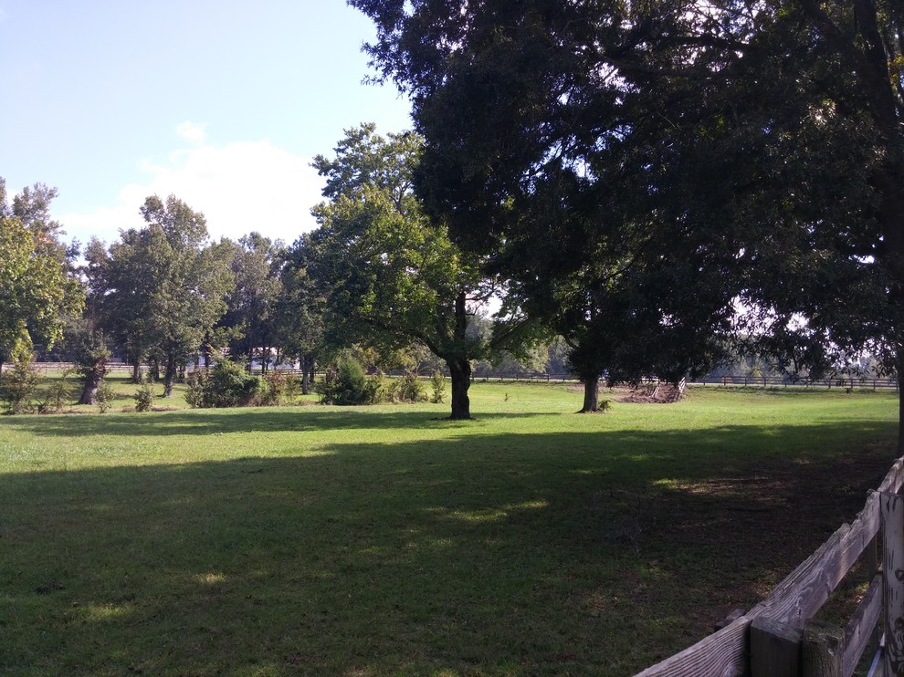 Geräumiger, Halbschattiger Klassischer Vorgarten im Herbst mit Auffahrt in Raleigh