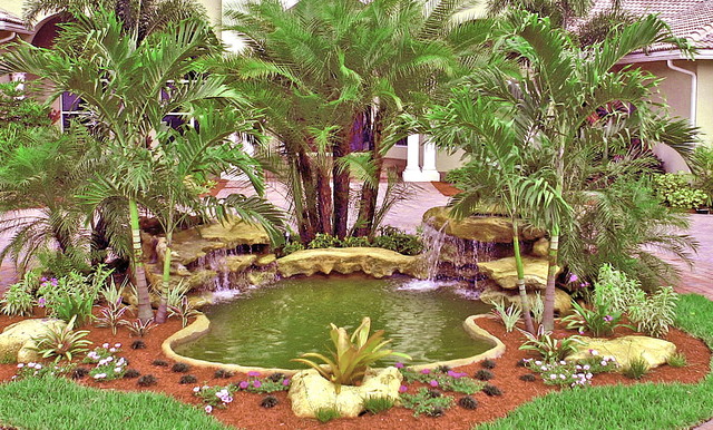 Front Entrance Waterfall Tropical Garden Miami By Bamboo Landscaping And Services Inc Houzz Uk