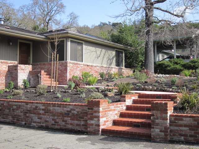 На фото: солнечный, летний участок и сад среднего размера на переднем дворе в современном стиле с подпорной стенкой и хорошей освещенностью