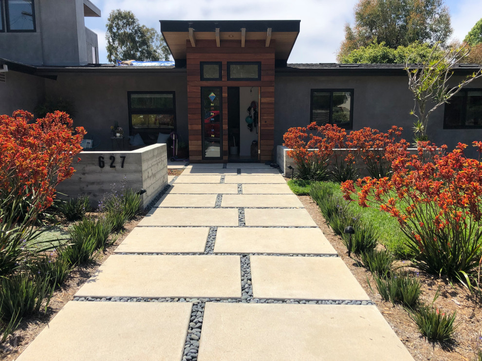 Mittelgroßer, Halbschattiger Moderner Garten im Frühling mit Betonboden in San Diego