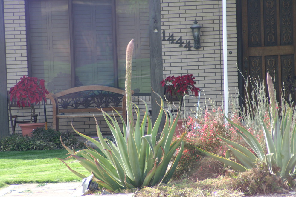 Foto di un piccolo giardino american style esposto in pieno sole in cortile in primavera