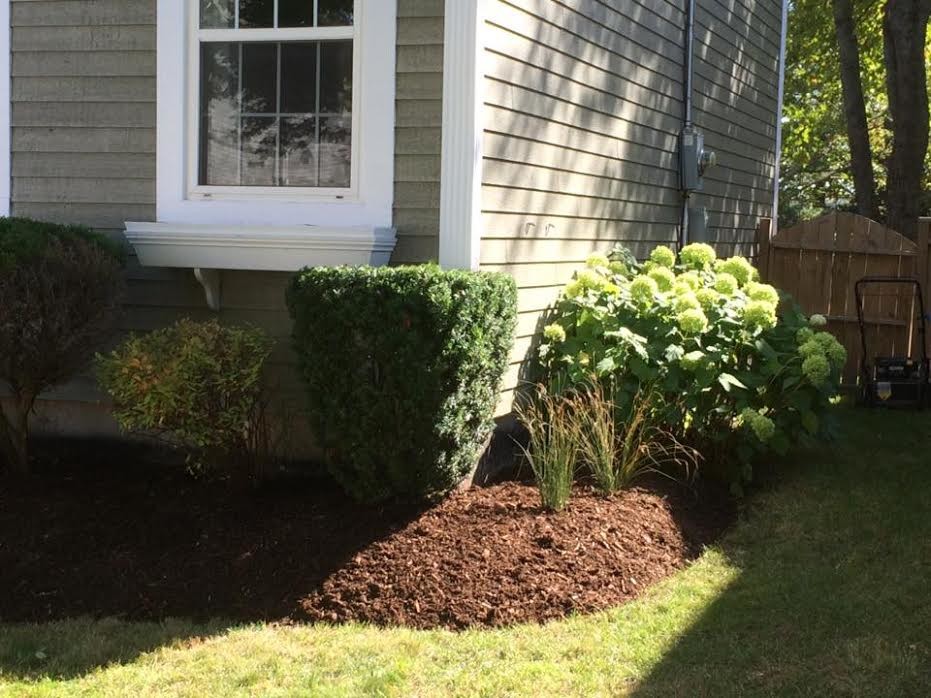 Inspiration for a mid-sized traditional partial sun front yard mulch garden path in Other.