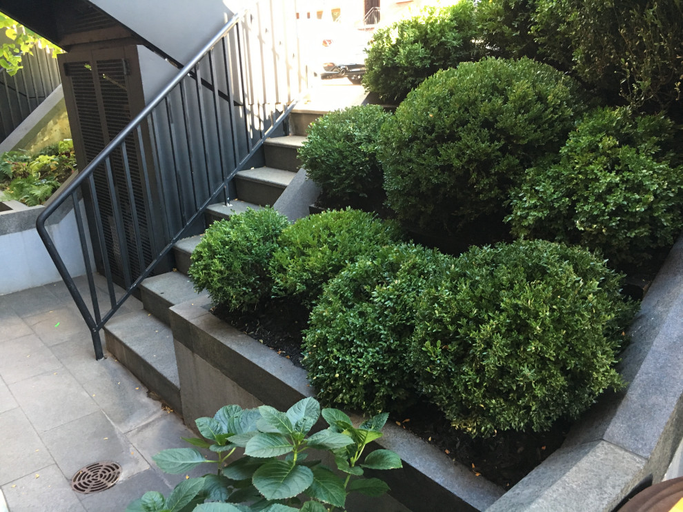 Front garden fun Modern Landscape New York by Little Miracles