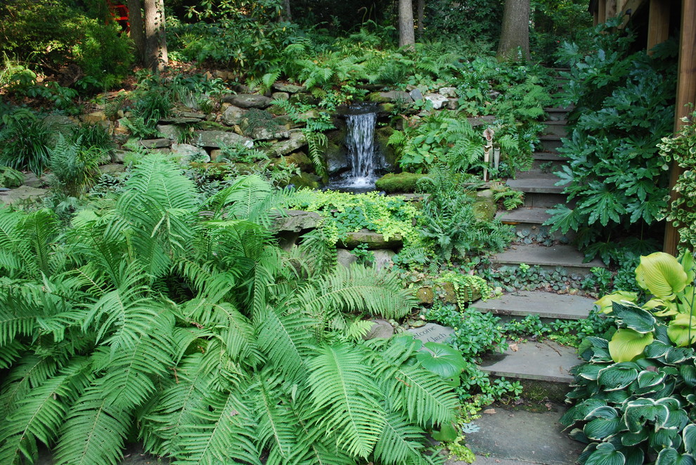 Eklektischer Garten in Charlotte