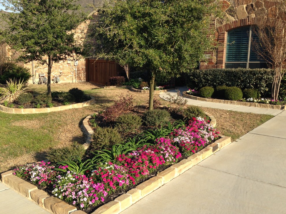 Front Landscape - Traditional - Landscape - Dallas - by Urban Oasis ...