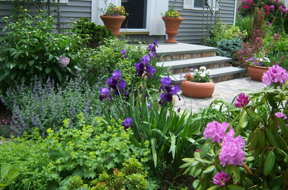 Пример оригинального дизайна: маленький летний участок и сад на переднем дворе в классическом стиле с садовой дорожкой или калиткой, полуденной тенью и покрытием из каменной брусчатки для на участке и в саду