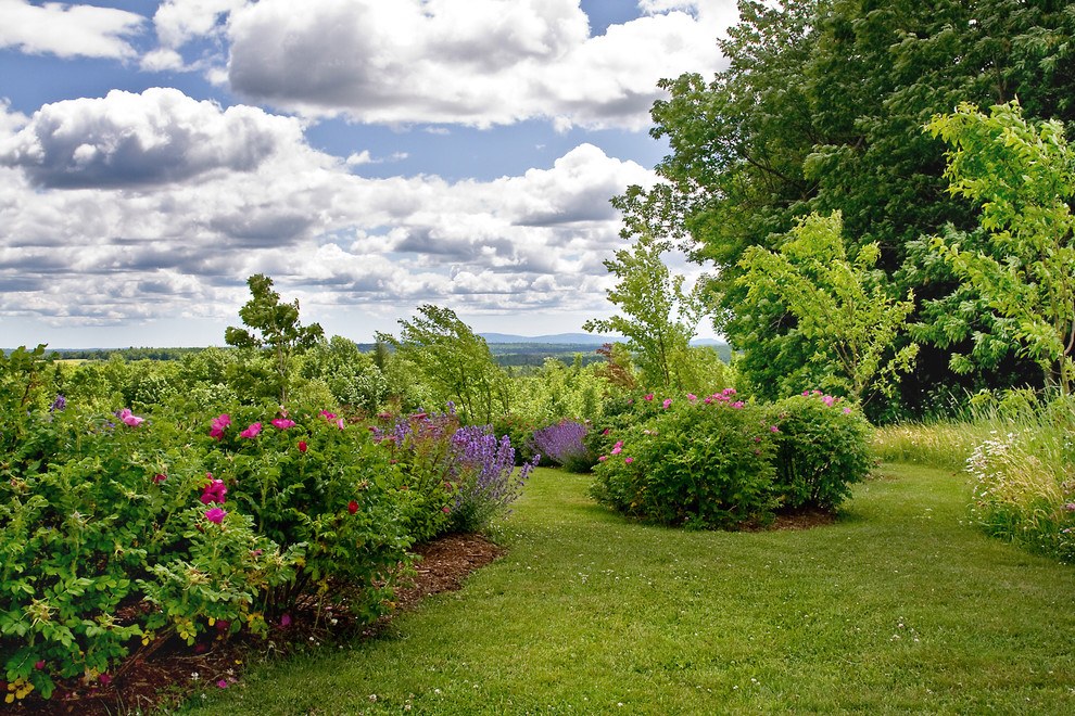 Photo of a huge traditional backyard flower bed in Boston.