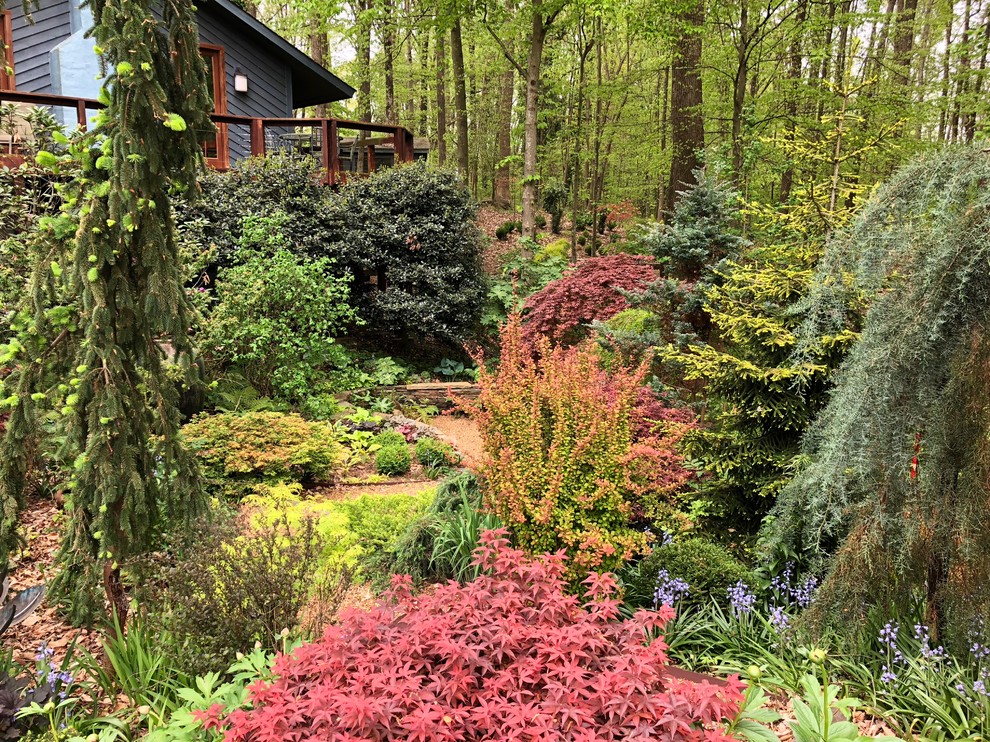 Photo of a bohemian garden in Charlotte.