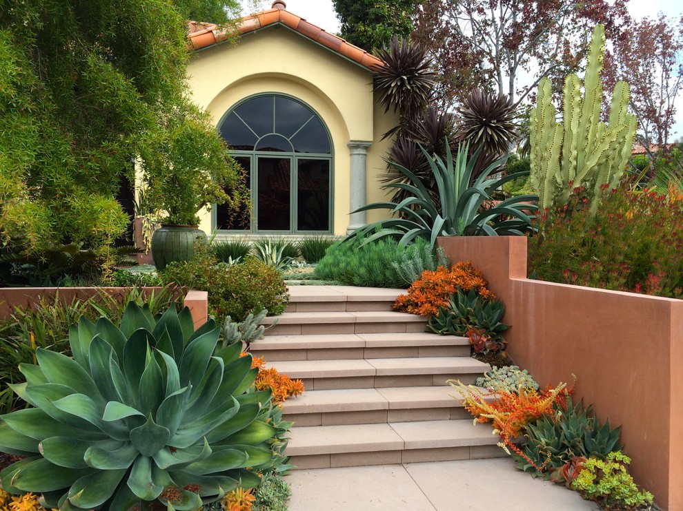 Mediterraner Vorgarten mit direkter Sonneneinstrahlung und Betonboden in San Diego