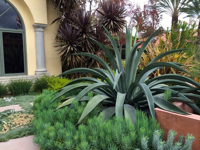 Front Yard Mediterranean Garden San Diego By Amelia B Lima Associates Inc Houzz Ie