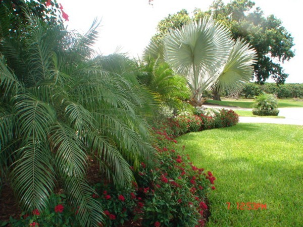 Идея дизайна: регулярный сад среднего размера на переднем дворе в классическом стиле с садовой дорожкой или калиткой, мощением клинкерной брусчаткой и полуденной тенью
