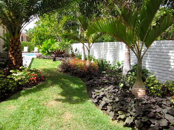 Photo of a medium sized classic side formal partial sun garden in Miami with a living wall.