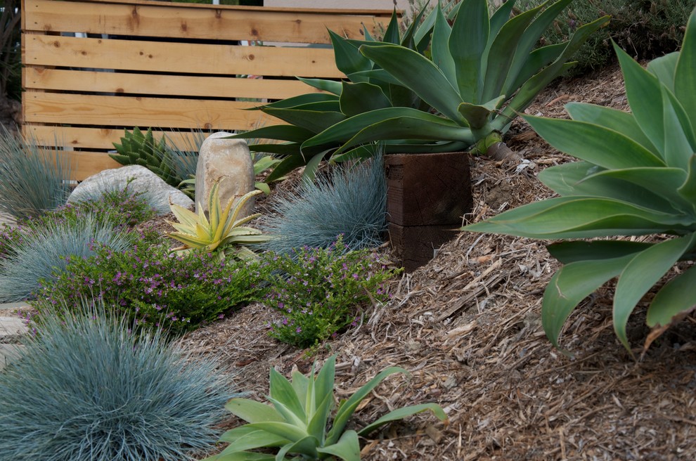 Geometrischer, Mittelgroßer Moderner Garten mit direkter Sonneneinstrahlung und Mulch in Los Angeles
