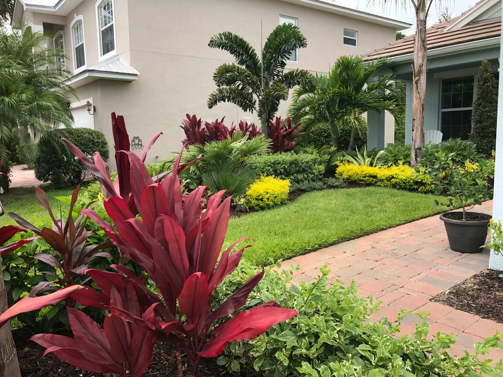 Esempio di un giardino formale tropicale esposto a mezz'ombra di medie dimensioni e dietro casa in estate con pacciame