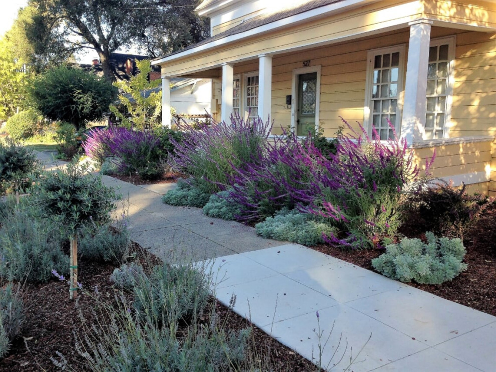 Design ideas for a mid-sized farmhouse drought-tolerant and full sun front yard flower bed in Other.