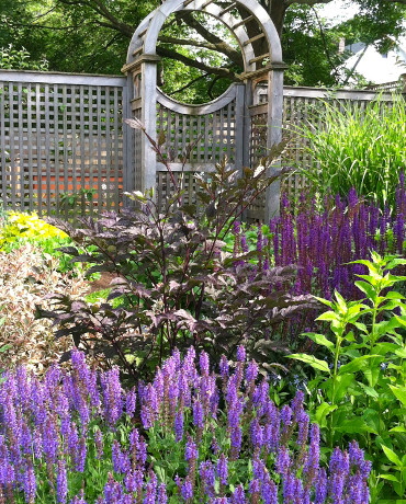 Источник вдохновения для домашнего уюта: солнечный регулярный сад среднего размера, зимой на переднем дворе в классическом стиле с садовой дорожкой или калиткой и хорошей освещенностью