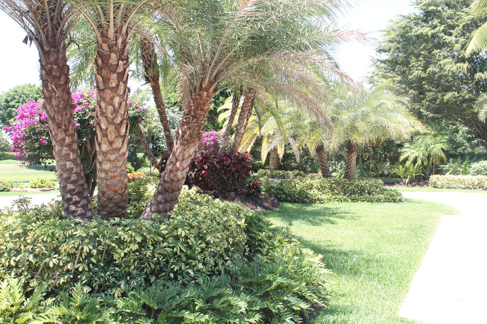 Idee per un grande giardino tropicale esposto in pieno sole davanti casa con pacciame