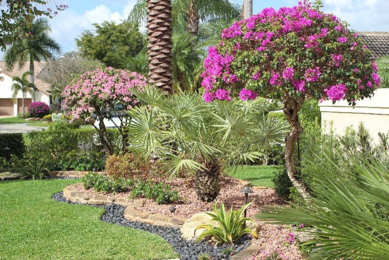 Imagen de jardín tropical de tamaño medio en patio delantero con exposición parcial al sol y gravilla