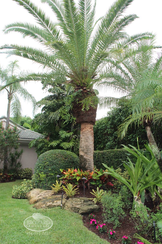 Esempio di un grande giardino tropicale esposto in pieno sole davanti casa con pacciame