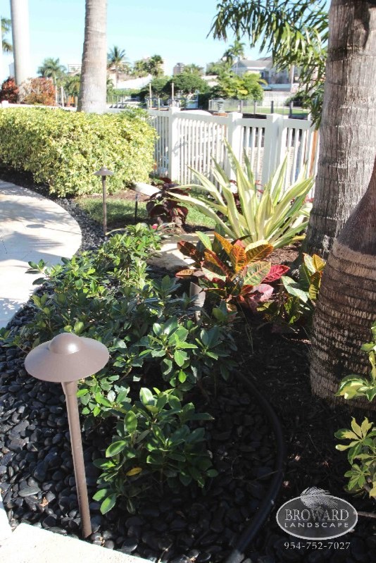 Ispirazione per un piccolo giardino tropicale esposto a mezz'ombra dietro casa con ghiaia