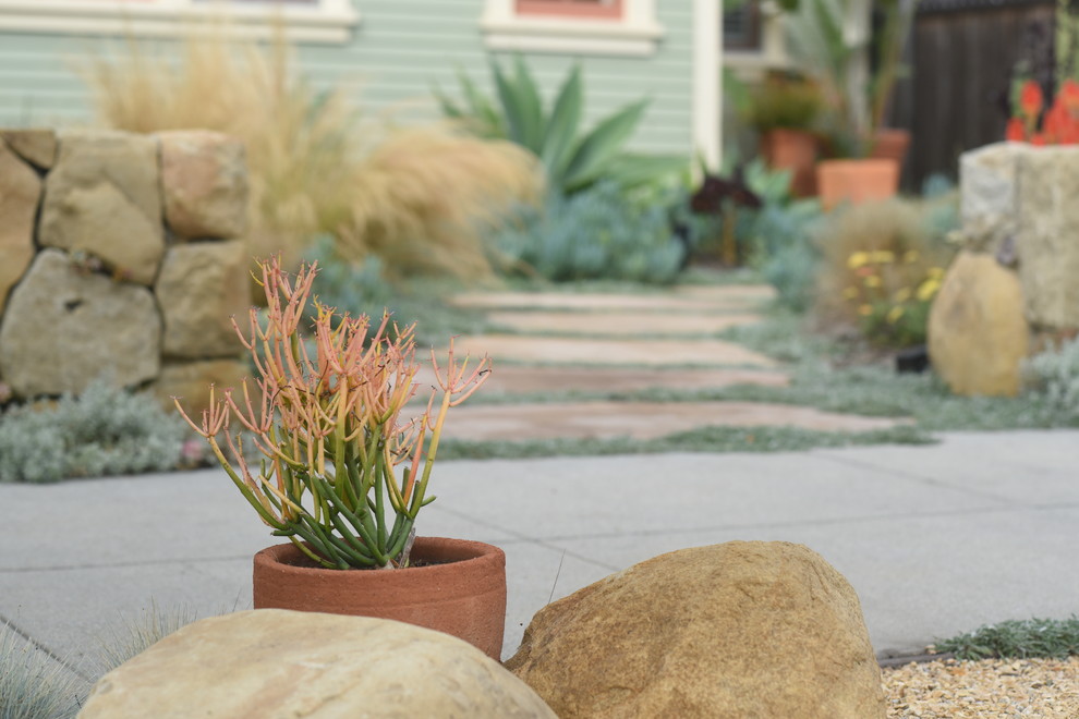 Пример оригинального дизайна: маленький солнечный засухоустойчивый сад на переднем дворе в морском стиле с садовой дорожкой или калиткой, хорошей освещенностью и покрытием из каменной брусчатки для на участке и в саду