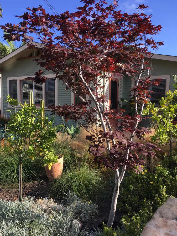 Front Yard Landscape Landscape Santa Barbara by Stephanie D Poole