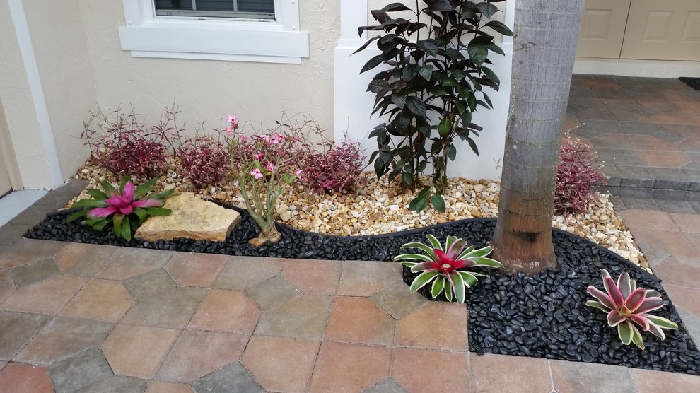 Design ideas for a medium sized world-inspired front full sun garden in Miami with gravel.