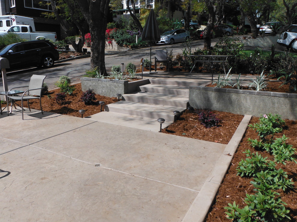 Mittelgroßer Moderner Garten mit direkter Sonneneinstrahlung und Mulch in San Diego