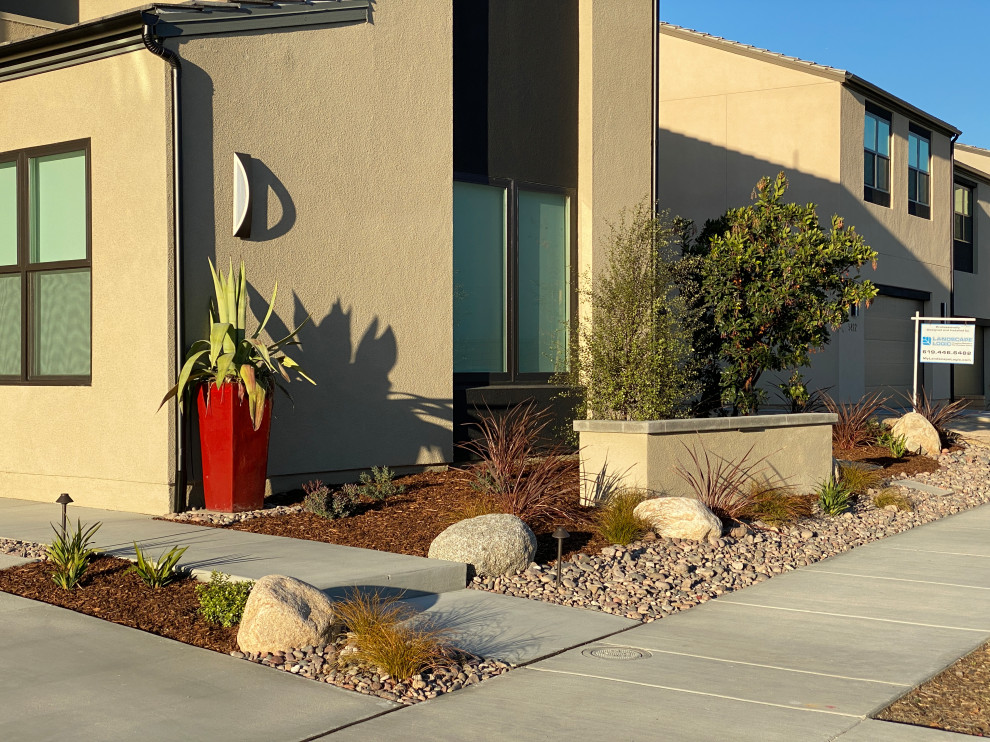 Front Yard Low Maintenance Garden Design - Contemporary ...