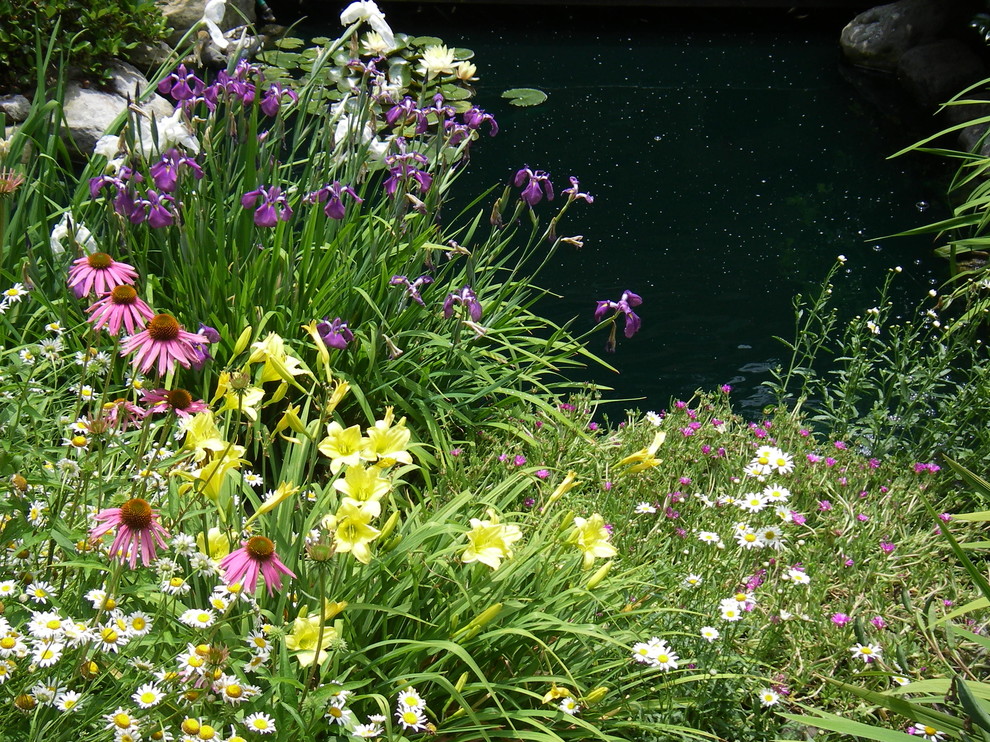 Пример оригинального дизайна: солнечный, летний регулярный сад среднего размера на переднем дворе в классическом стиле с хорошей освещенностью