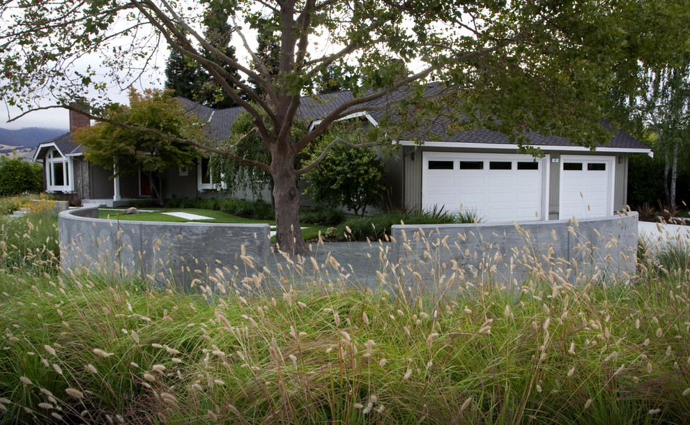 This is an example of a modern garden in San Francisco.