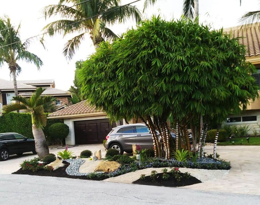 Design ideas for an asian front yard landscaping.