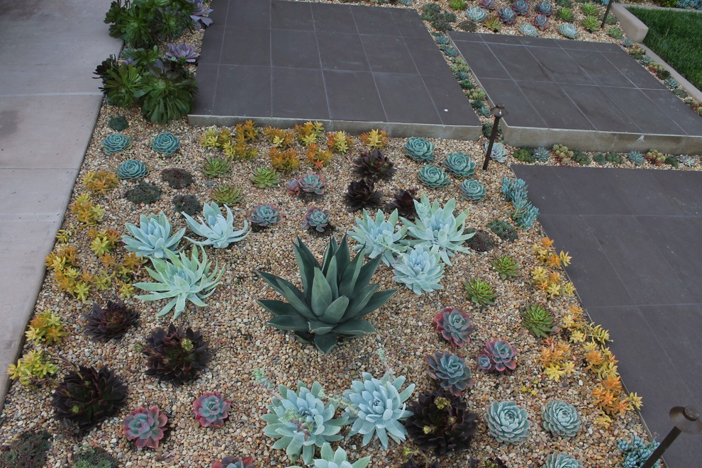 Пример оригинального дизайна: засухоустойчивый сад среднего размера на переднем дворе в современном стиле с покрытием из гравия и полуденной тенью