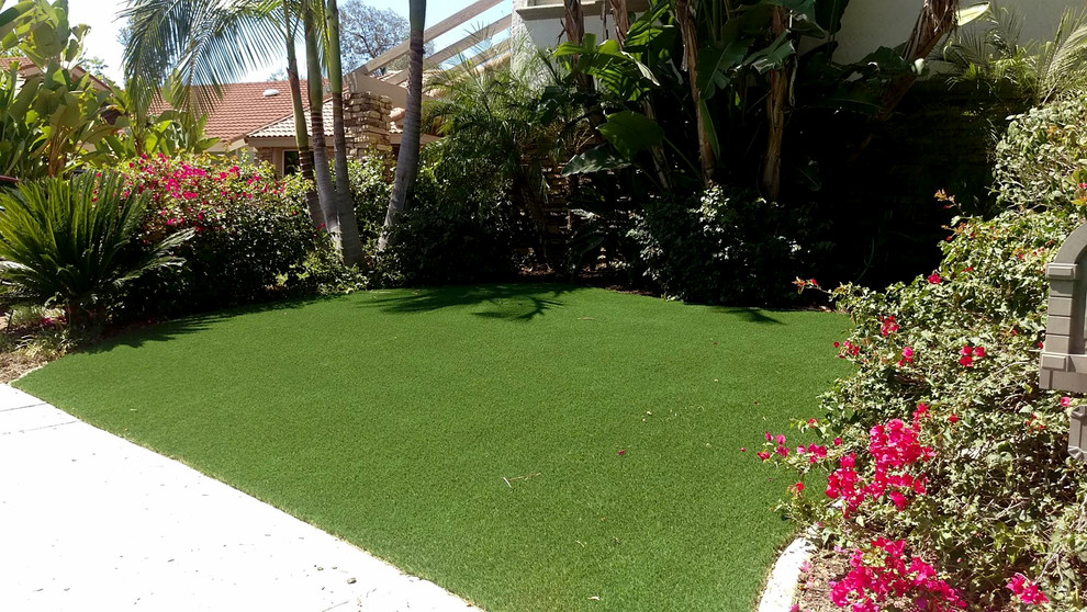 Mittelgroßer Vorgarten mit Betonboden in San Diego