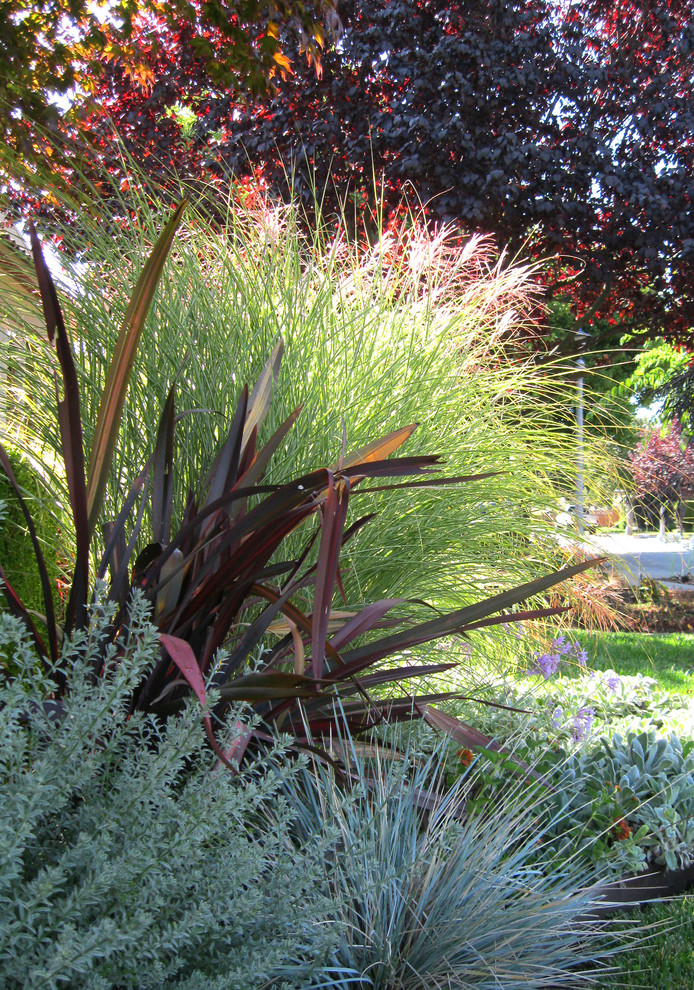 Cette image montre un jardin avant bohème au printemps avec une exposition ensoleillée.