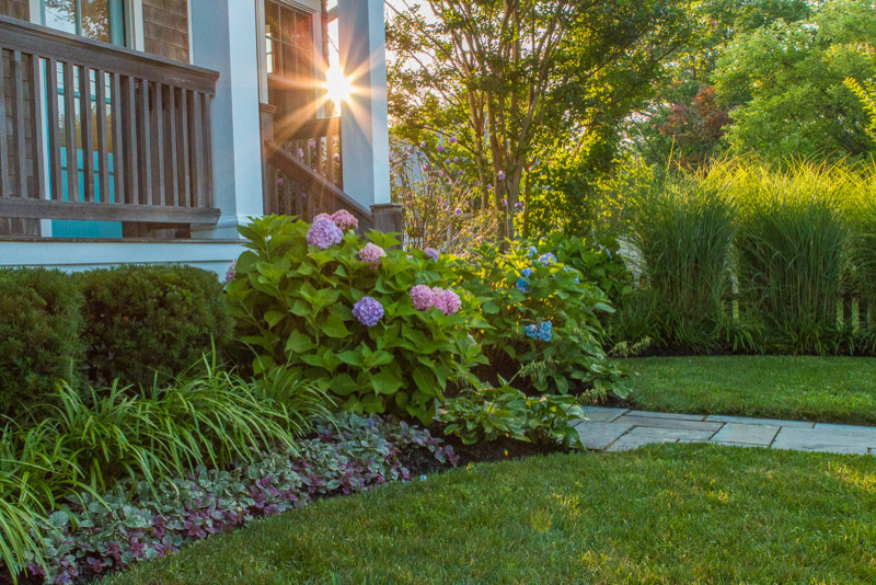 Стильный дизайн: весенний регулярный сад среднего размера на переднем дворе в морском стиле с садовой дорожкой или калиткой, полуденной тенью и мощением тротуарной плиткой - последний тренд
