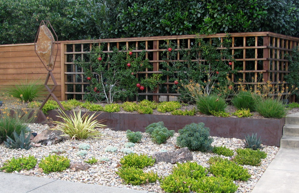Источник вдохновения для домашнего уюта: солнечный засухоустойчивый сад среднего размера на переднем дворе в современном стиле с хорошей освещенностью и мощением тротуарной плиткой