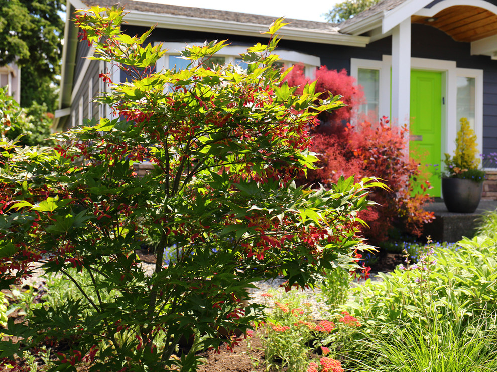 Foto de jardín actual pequeño en primavera en patio delantero con exposición total al sol y gravilla
