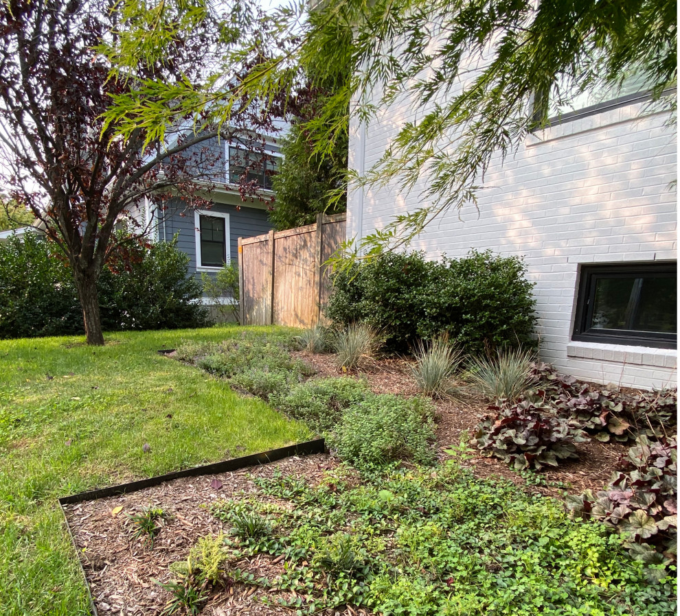 Geometrischer, Kleiner, Halbschattiger Mid-Century Vorgarten im Sommer mit Rasenkanten und Holzzaun in Boston