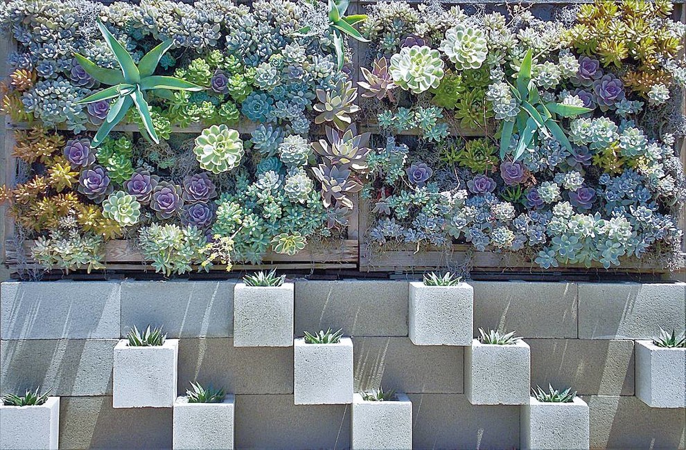 Immagine di un giardino xeriscape mediterraneo dietro casa con pavimentazioni in cemento