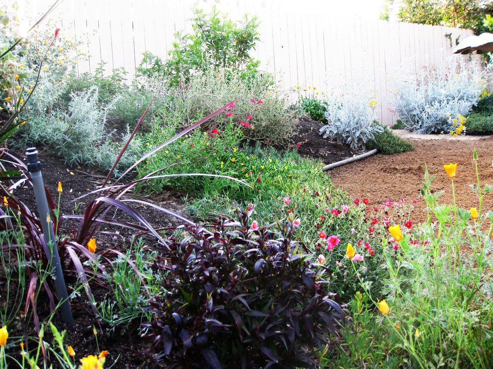 На фото: солнечный участок и сад среднего размера на заднем дворе в стиле неоклассика (современная классика) с хорошей освещенностью
