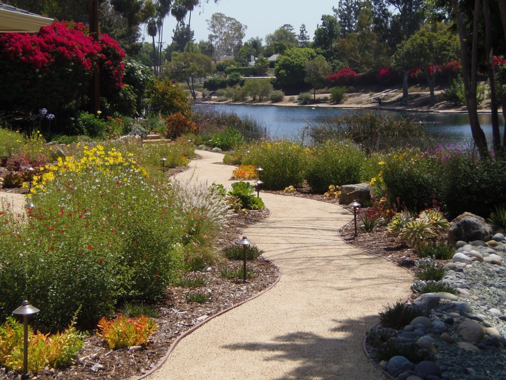 low water landscaping front yard