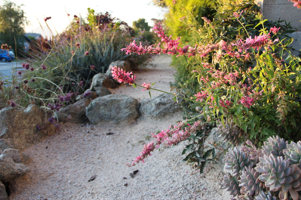 Inspiration for a mediterranean xeriscape garden in San Luis Obispo.